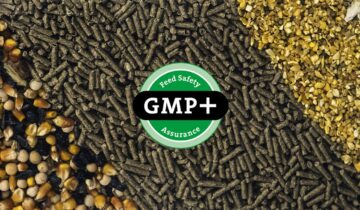 gmp-fsa-certification-subcarn-echevarria