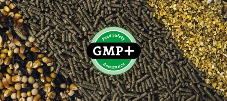 gmp-fsa-certification-subcarn-echevarria